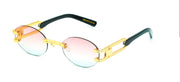 9five_Remix_Lite_Gold_w/_Pink_Blue_Bicolor_Lens_by_vibeoptic